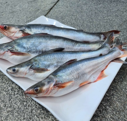 Whole Frozen Fish (2 Kg)